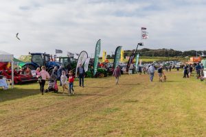 DSC0399 300x200 - _DSC0399