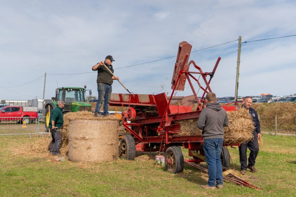 DSC0557 1024x682 - Trade Stands & Craft/Food and Drink Marquee
