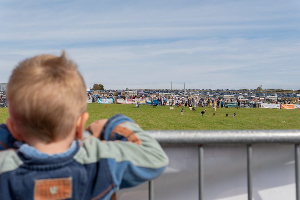 DSC0679 1024x682 - Trade Stands & Craft/Food and Drink Marquee