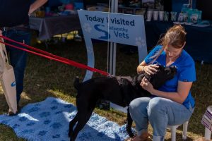 DSC0860 300x200 - _DSC0860